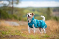 Pomppa Perus manteau imperméable pour chien Petrol