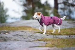 Pomppa Perus manteau imperméable pour chien Plum