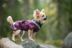 Pomppa Sade Plum manteau imperméable chien