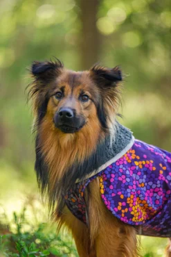 Pomppa Toppa Cosmos manteau imperméable doublé pour chien