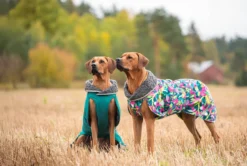 Pomppa Toppa Kartta manteau imperméable doublé chien