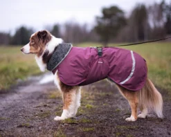 Pomppa Toppa manteau imperméable doublé pour chien Plum