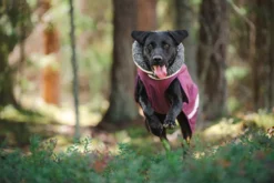 Pomppa Toppa manteau imperméable doublé pour chien Plum