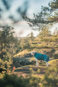 Pomppa Toppa Petrol manteau imperméable doublé chien