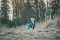 Pomppa Toppa Petrol manteau imperméable doublé chien