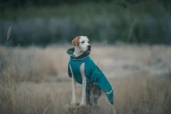 Pomppa Toppa Petrol manteau imperméable doublé chien