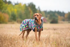 Pomppa Toppa Trail manteau imperméable doublé chien