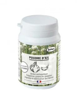 Poudre d'ail