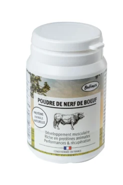 Poudre de nerf de boeuf chien