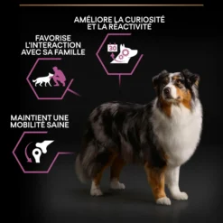 Pro Plan Age Defence Medium & Large Adult au poulet - croquettes chien