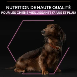 Pro Plan Age Defence Small & Mini Adult au poulet - croquettes chien