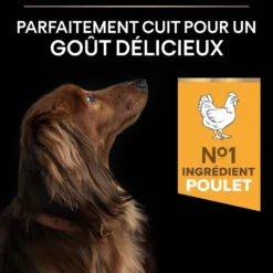 Pro Plan Age Defence Small & Mini Adult au poulet - croquettes chien
