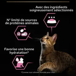 Pro Plan Delicate - pâtée chat