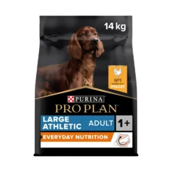 Pro Plan Everyday Nutrition Large Athletic Adult au poulet - croquettes chien