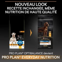 Pro Plan Everyday Nutrition Large Athletic Adult au poulet - croquettes chien