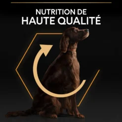 Pro Plan Everyday Nutrition Large Athletic Adult au poulet - croquettes chien