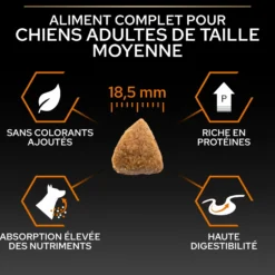 Pro Plan Everyday Nutrition Large Athletic Adult au poulet - croquettes chien