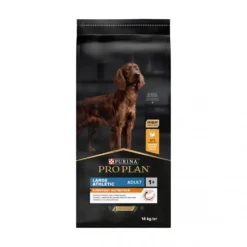 Pro Plan Everyday Nutrition Large Athletic Adult au poulet - croquettes chien