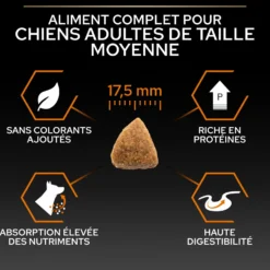Pro Plan Everyday Nutrition Medium Adult au poulet - croquettes chien
