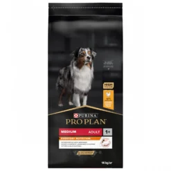 Pro Plan Everyday Nutrition Medium Adult au poulet - croquettes chien