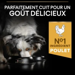 Pro Plan Everyday Nutrition Medium Adult au poulet - croquettes chien