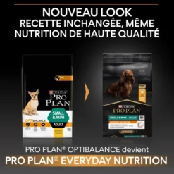 Pro Plan Everyday Nutrition Small & Mini Adult au poulet - croquettes chien