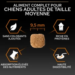 Pro Plan Everyday Nutrition Small & Mini Adult au poulet - croquettes chien