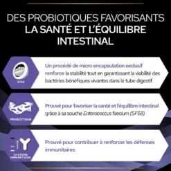 Pro Plan FortiFlora en bouchées - probiotiques chien-Réapprovisionnement laboratoire fin juillet