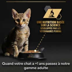 Pro Plan Healthy Start Kitten en mousse au poulet - pâtée chaton