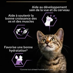 Pro Plan Healthy Start Kitten en mousse au poulet - pâtée chaton