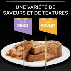 Pro Plan Healthy Start Kitten en mousse au poulet - pâtée chaton