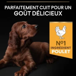 Pro Plan Healthy Start Large Athletic Puppy au poulet - croquettes chiot