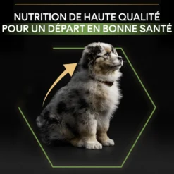 PRO PLAN Healthy Start Medium Puppy au Poulet - Croquettes pour chien