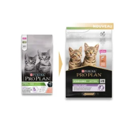 PRO PLAN Healthy Start Sterilised Kitten au Saumon - Croquettes pour chaton