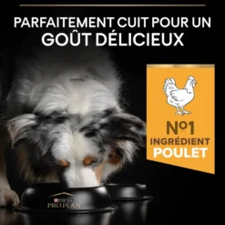 Pro Plan Light/Sterilised All Sizes Adult au poulet - croquettes chien