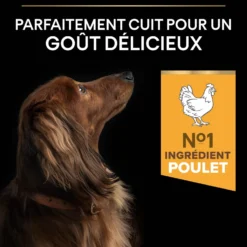 Pro Plan Light/Sterilised Small & Mini Adult au poulet - croquettes chien