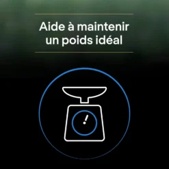 Pro Plan LiveClear Sterilised senior à la dinde - croquettes chat