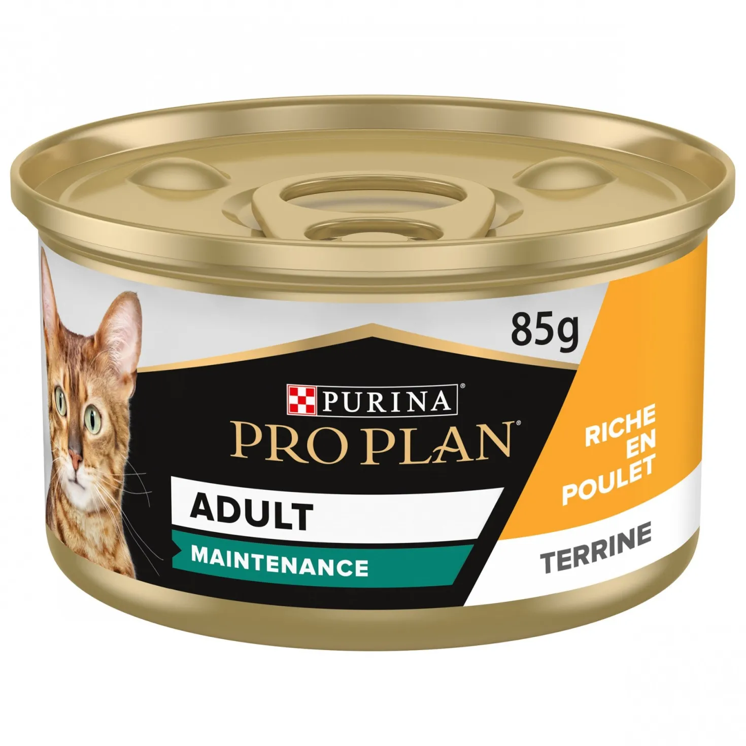 Pro Plan Maintenance Adult en terrine au poulet - pâtée chat
