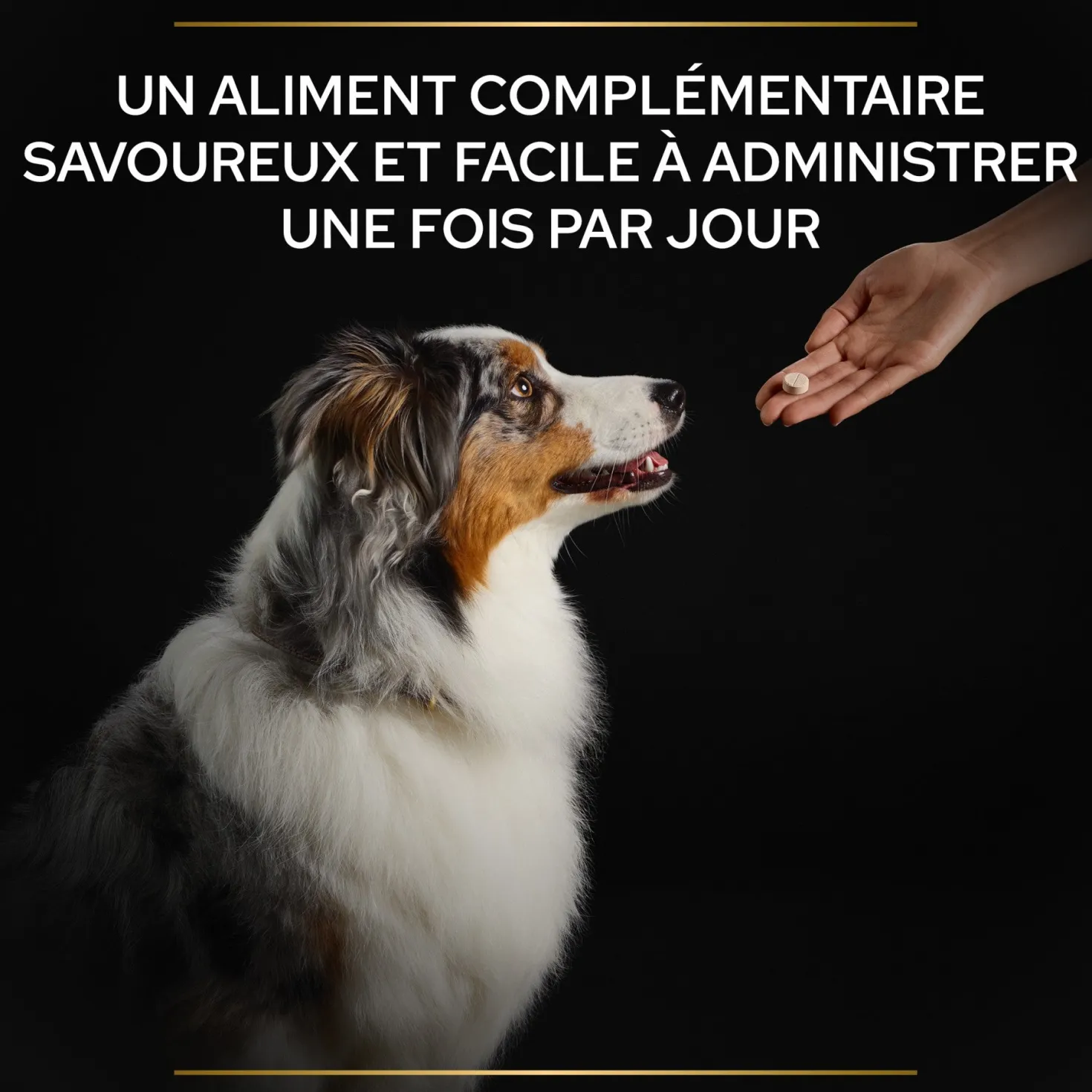 Pro Plan® Natural Defenses+ en comprimés chien