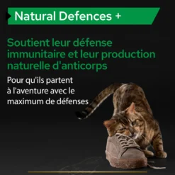 PRO PLAN® Natural Defenses+ en poudre - Aliment complémentaire pour chat