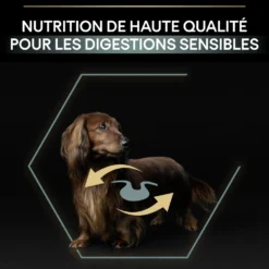 Pro Plan Sensitive Digestion Small & Mini Adult à l'agneau - croquettes chien