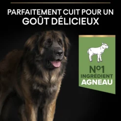 Pro Plan Sensitive Digestion Large Robust Adult à l'agneau - croquettes chien