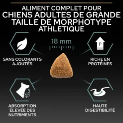 Pro Plan Sensitive Digestion Large Athletic Adult à l'agneau - croquettes chien