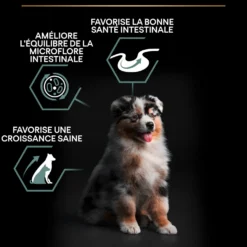 Pro Plan Sensitive Digestion Medium Puppy à l'agneau - croquettes chiot