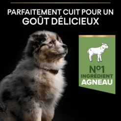 Pro Plan Sensitive Digestion Medium Puppy à l'agneau - croquettes chiot
