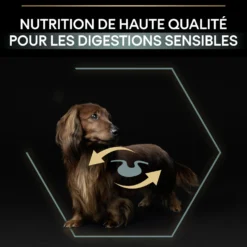 Pro Plan Sensitive Digestion No Grain Small & Mini Adult à la dinde - croquettes chien