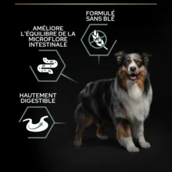 PRO PLAN Sensitive Digestion No Grain Medium & Large Adult à la Dinde - Croquettes pour chien