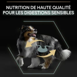 PRO PLAN Sensitive Digestion No Grain Medium & Large Adult à la Dinde - Croquettes pour chien