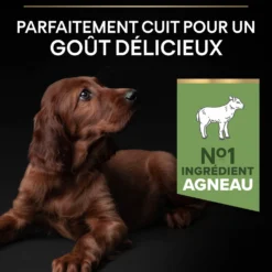 Pro Plan Sensitive Digestion Large Athletic Puppy à l'agneau - croquettes chiot