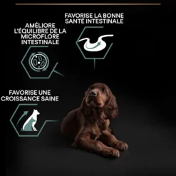 Pro Plan Sensitive Digestion Large Athletic Puppy à l'agneau - croquettes chiot